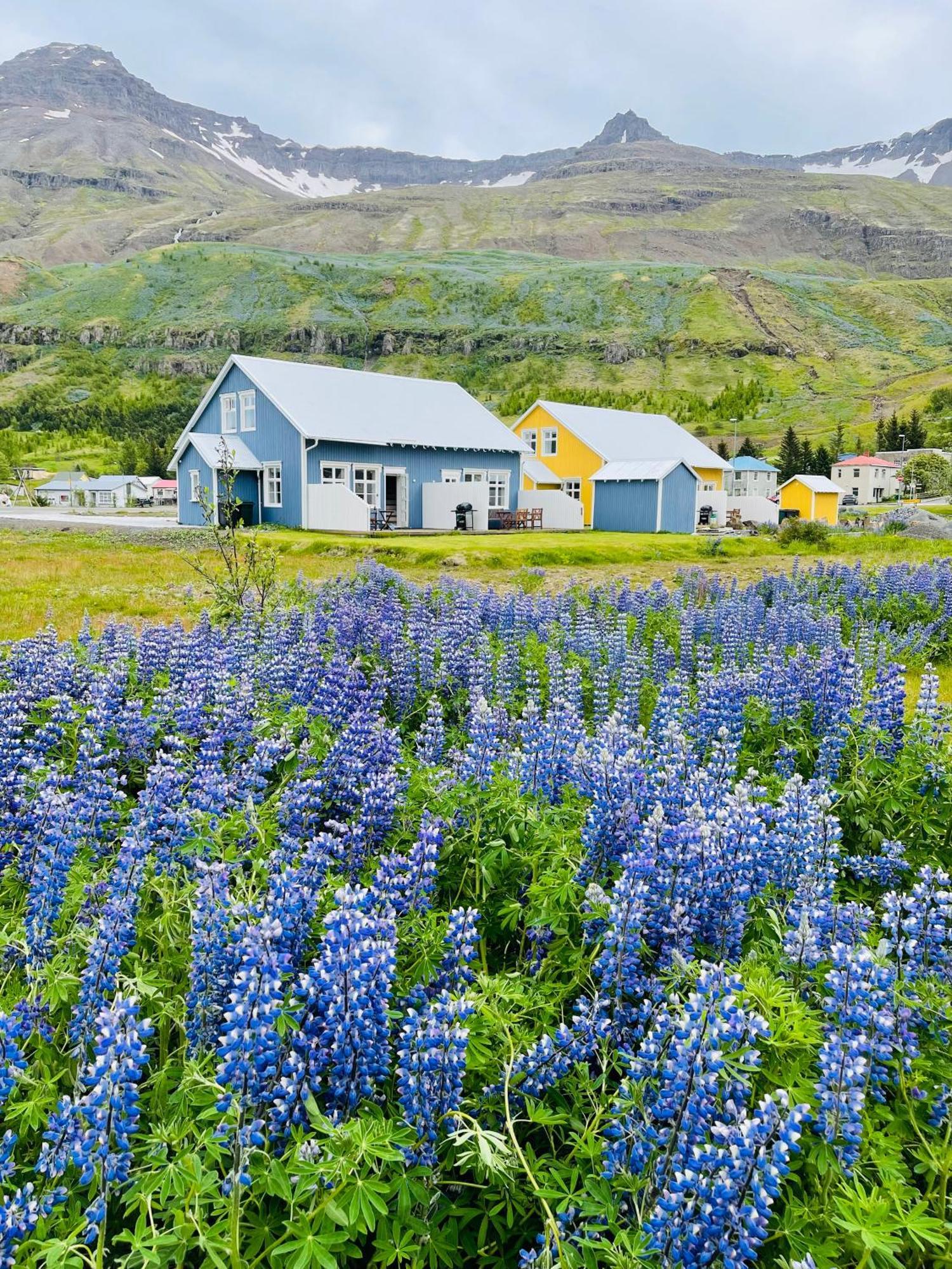 伦斯雷拉公寓酒店 Seyðisfjörður 外观 照片