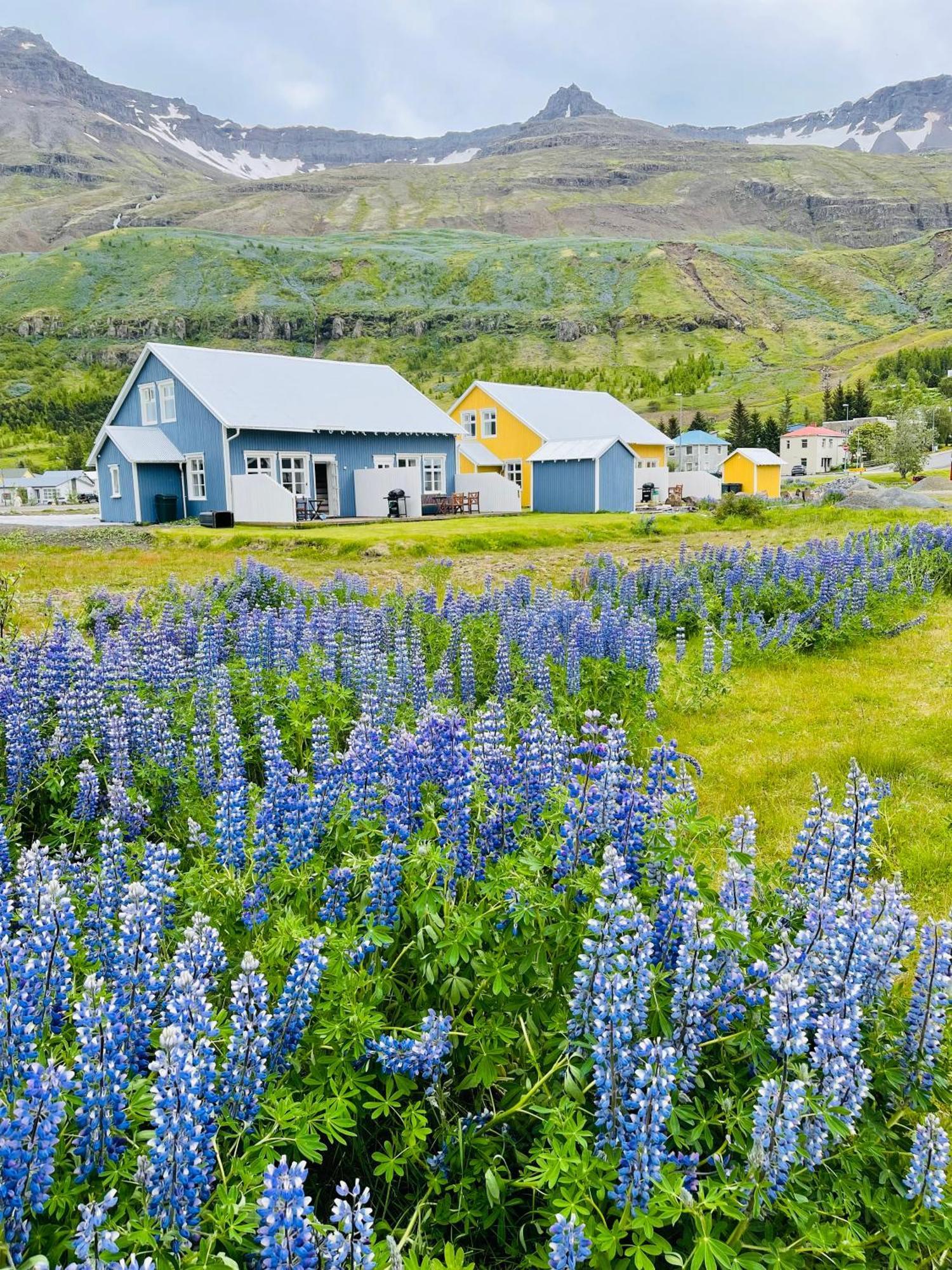 伦斯雷拉公寓酒店 Seyðisfjörður 外观 照片